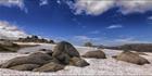 Near Seamans Hut - Kosciuszko NP - NSW T (PBH4 00 10519)